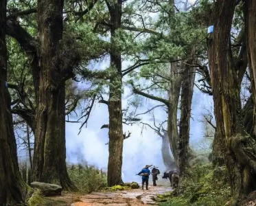 探秘古蜀道：穿越千年的四川之旅