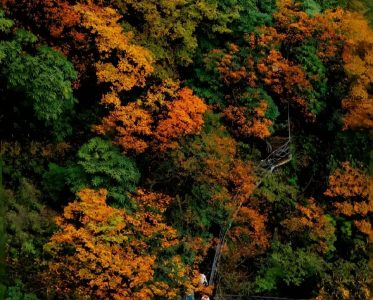 瓦屋山：上云端 看最美的景 深秋在云端之上见证爱情