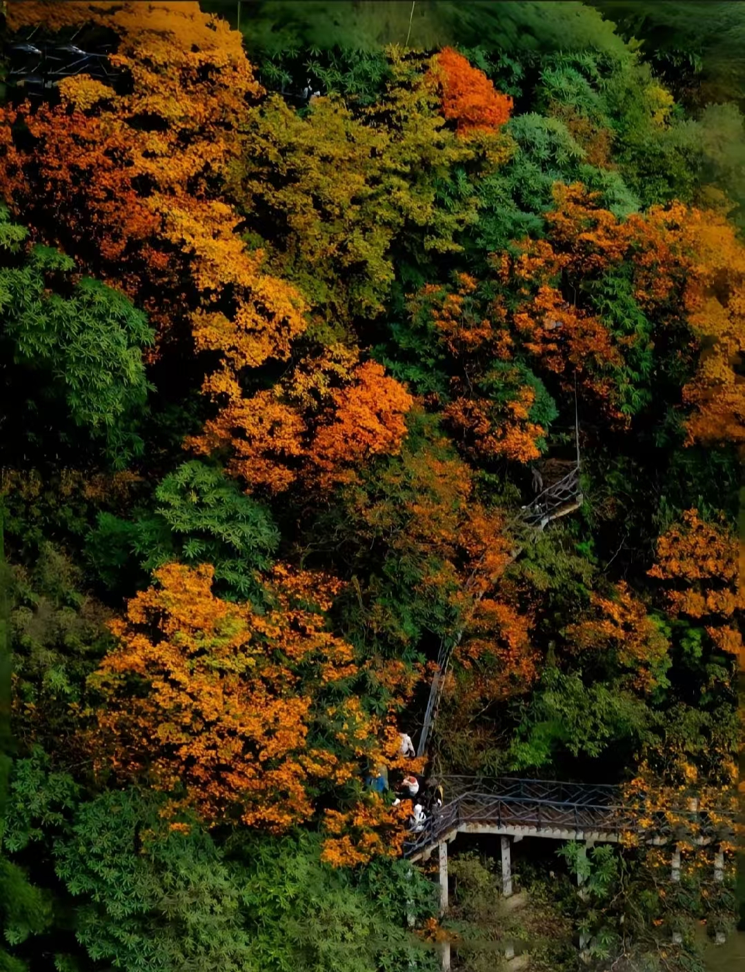 瓦屋山：上云端 看最美的景 深秋在云端之上见证爱情